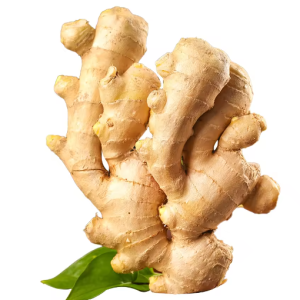 Fresh Ginger