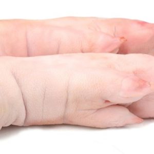 Frozen Pork Front Feet